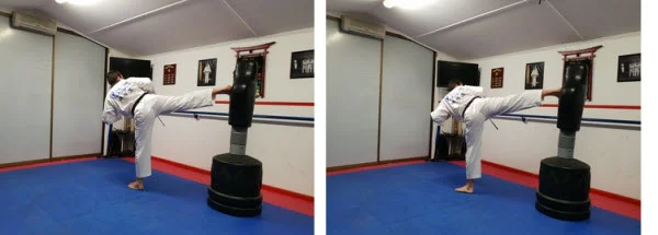 Instructor demonstrating how to hit the target for Round Back Kick