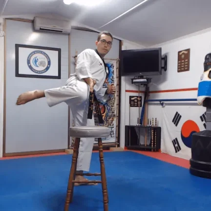 Roundhouse and Hook Kick Combo