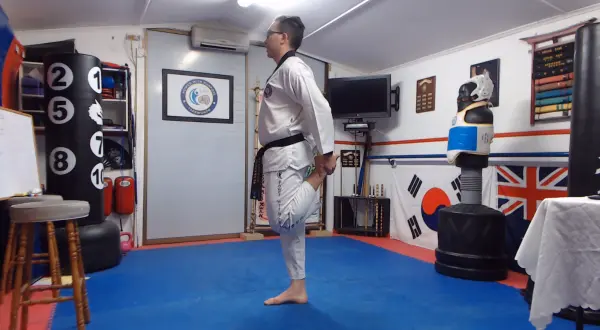 Man doing a tutorial of Roundhouse and Hook Kick