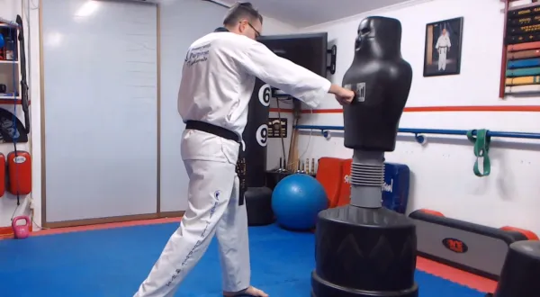Martial artist delivering a straight punch to a training dummy in a dojo.