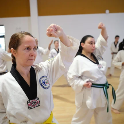 Taekwondo Toongabbie West
