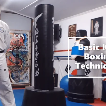 Basic Kick Boxing Tutorial