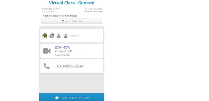 Screenshot of a booking page showing details for a virtual martial arts class with Zoom joining information.